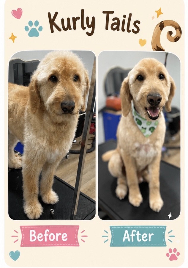 Happy Pups
